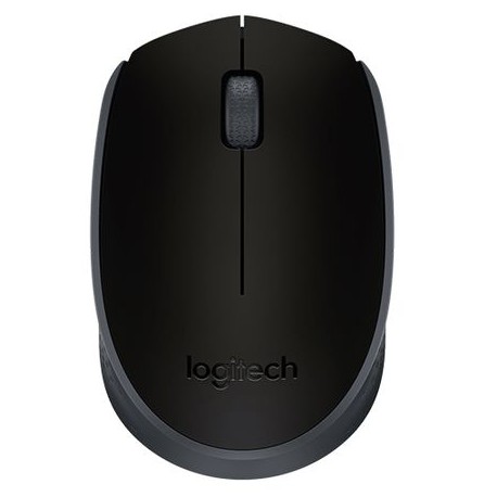 Mouse wireless Logitech M171
