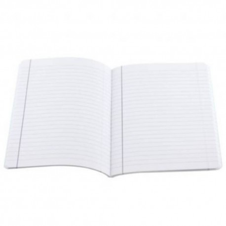 Caiet Dictando, Herlitz, A4, 80 file, cu spira