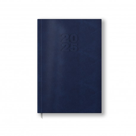 Agenda datata zilnic 2025, diverse culori, 320 pagini