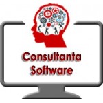 Consultanta software