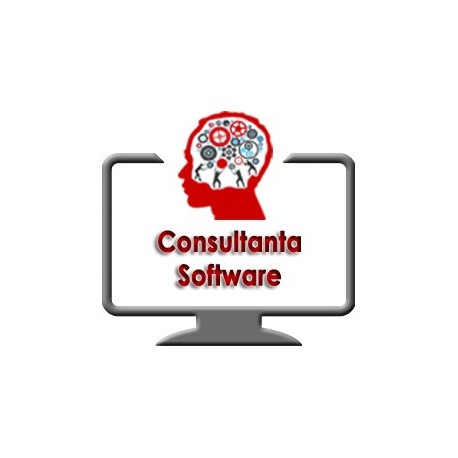 Consultanta software