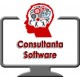 Consultanta software - pret/ora